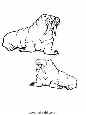 Kutup Hayvanları boyama sayfası – evde etkinlik, ücretsiz yazdır
