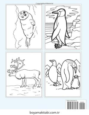 Kutup Hayvanları boyama sayfası – sanatsal çalışma, çocuklar için