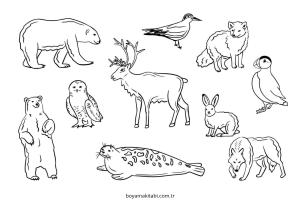 Kutup Hayvanları boyama sayfası – el becerilerini geliştirir, boyama çalışması