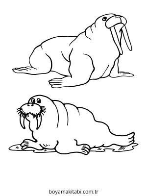 Kutup Hayvanları boyama sayfası – el becerilerini geliştirir, boyama çalışması