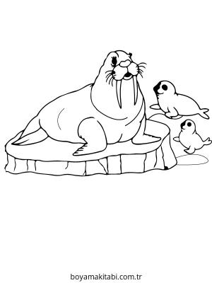 Kutup Hayvanları boyama sayfası – renkli çizimler, okul öncesi
