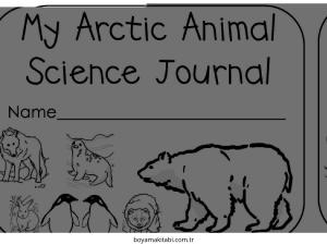 Kutup Hayvanları boyama sayfası – keyifli zaman, renkli çizimler