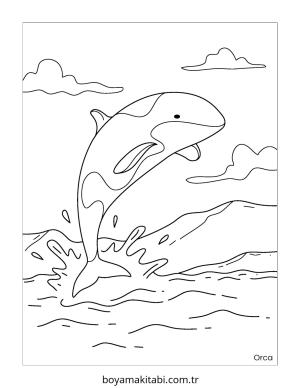 Kutup Hayvanları boyama sayfası – renkli çizimler, okul öncesi