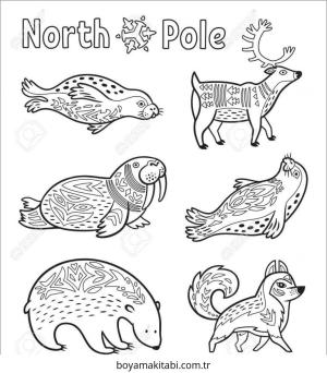 Kutup Hayvanları boyama sayfası – sevimli karakter, sanatsal çalışma