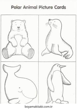 Kutup Hayvanları Boyama
