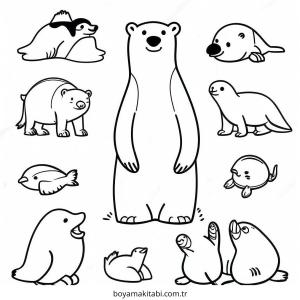 Kutup Hayvanları boyama sayfası – boyama etkinliği, çocuk aktivitesi