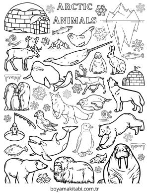 Kutup Hayvanları boyama sayfası – çizgi film temalı, basit çizim