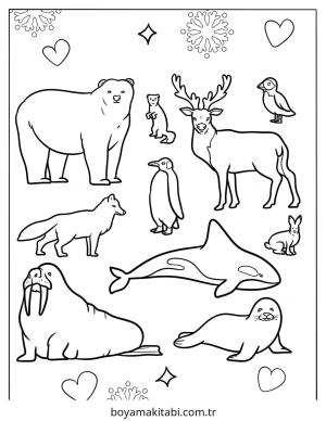 Kutup Hayvanları boyama sayfası – okul öncesi, evde etkinlik