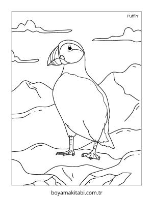 Kutup Hayvanları boyama sayfası – eğlenceli etkinlik, el becerilerini geliştirir