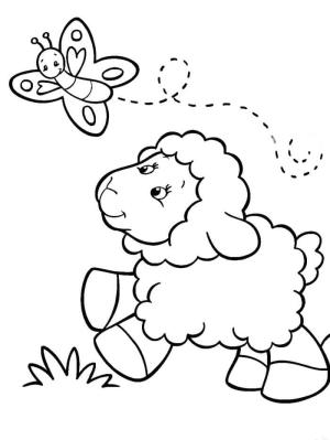 Kuzu boyama sayfası,  coloring page, Kuzu Koşusu ve Kelebek, 