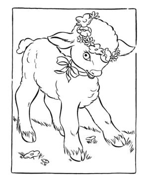 Kuzu boyama sayfası,  coloring page, Harika Kuzu, 