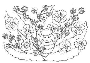 Kuzu boyama sayfası,  coloring page, Çiçekli Kuzu, 