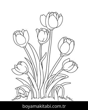Lale boyama sayfası – sanatsal çalışma, çocuklar için