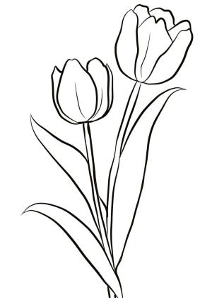 Lale boyama sayfası,  coloring page, Iki Lale, 