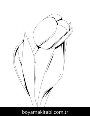 Lale boyama sayfası – eğitici aktivite, yaratıcılık