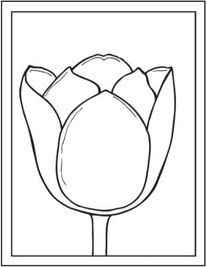 Lale boyama sayfası,  coloring page, Lale Fotoğraf Çerçeveleri, 