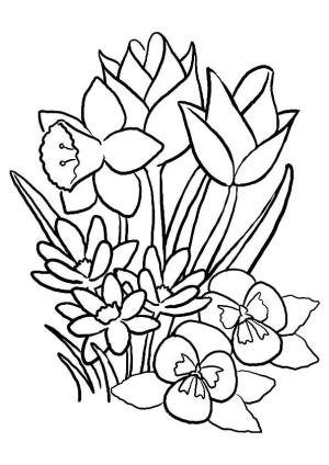 Lale boyama sayfası,  coloring page, Küçük Lale, 