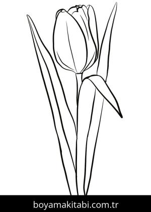 Lale boyama sayfası – ücretsiz yazdır, boyama etkinliği