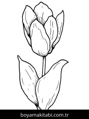 Lale boyama sayfası – çocuk aktivitesi, PDF indir