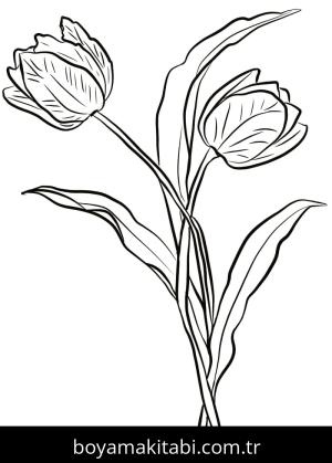 Lale boyama sayfası – renkli çizimler, okul öncesi