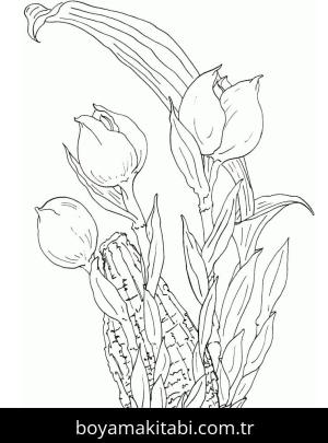 Lale boyama sayfası – okul öncesi, evde etkinlik