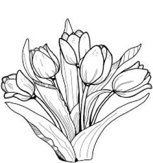 Lale boyama sayfası,  coloring page, Harika Lale, 