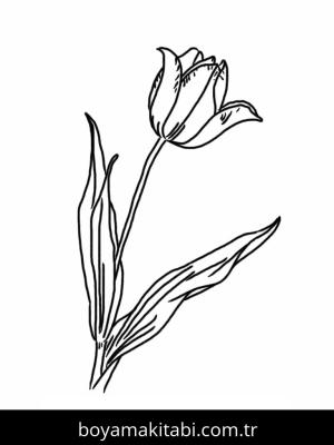 Lale boyama sayfası – çocuklar için, çizgi film temalı