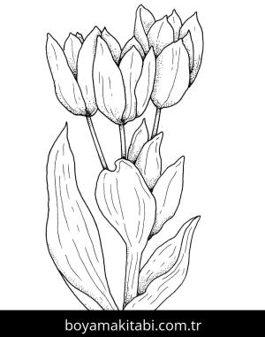 Lale boyama sayfası – renkli çizimler, okul öncesi