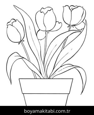 Lale boyama sayfası – keyifli zaman, renkli çizimler
