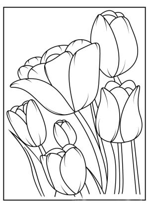 Lale boyama sayfası,  coloring page, Altı Lale, 