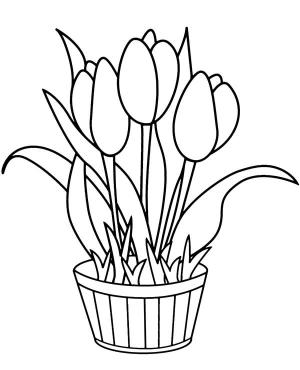 Lale boyama sayfası,  coloring page, Laleli Saksı, 