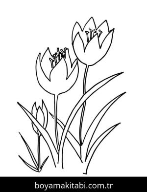 Lale boyama sayfası – sanatsal çalışma, çocuklar için