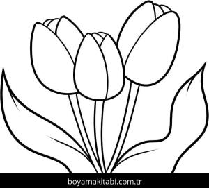 Lale boyama sayfası – yaratıcılığı geliştirir, keyifli zaman