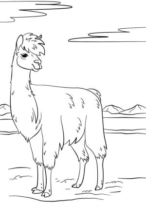 Lama boyama sayfası,  coloring page, Normal Lama, 