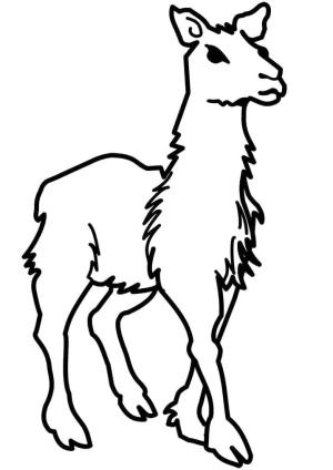 Lama boyama sayfası,  coloring page, , 