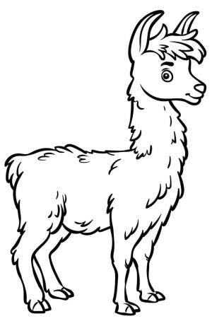 Lama boyama sayfası,  coloring page, karikatür lama Ücretsiz, 