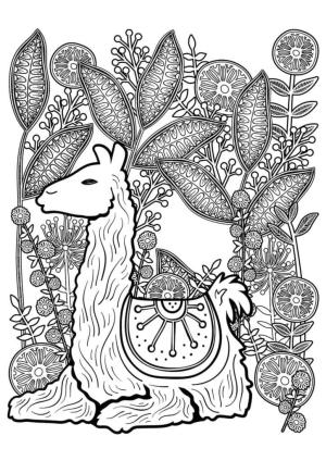 Lama boyama sayfası,  coloring page, Antistres Lama, 