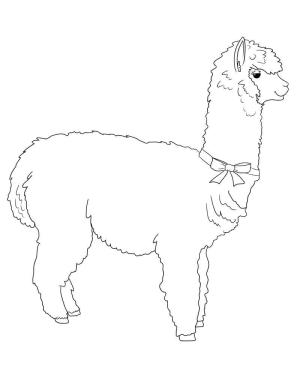 Lama boyama sayfası,  coloring page, , 