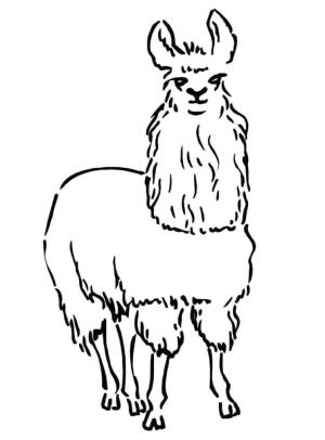 Lama boyama sayfası,  coloring page, Çocuklar İçin Yazdırılabilir Lama, 