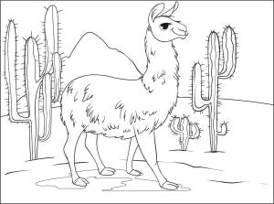 Lama boyama sayfası,  coloring page, Ücretsiz Lama, 