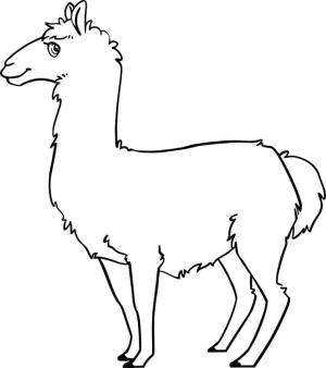 Lama boyama sayfası,  coloring page, , 