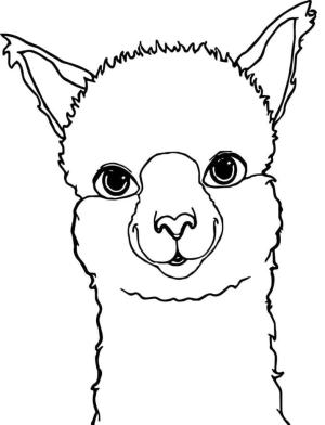 Lama boyama sayfası,  coloring page, Lama Yüzü, 