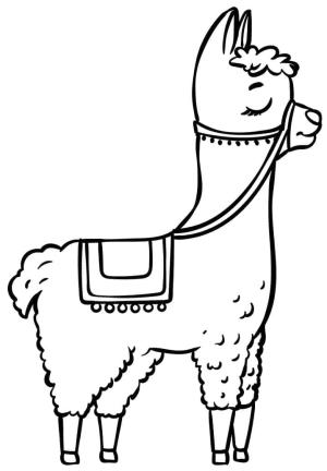 Lama boyama sayfası,  coloring page, Çok güzel Lama Güzel, 