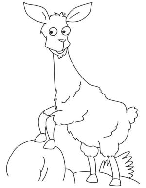 Lama boyama sayfası,  coloring page, , 