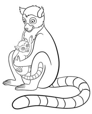 Lemur boyama sayfası, Lemur coloring page, Anne Bebek Lemur Sarılma, 