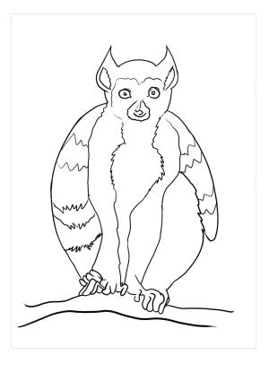 Lemur boyama sayfası, Lemur coloring page, Normal Lemur, 