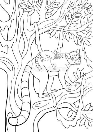 Lemur boyama sayfası, Lemur coloring page, Sevimli Küçük Bebeği ile Anne Lemur, 