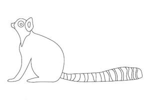 Lemur boyama sayfası, Lemur coloring page, Güzel Lemur, 