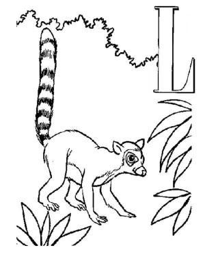 Lemur boyama sayfası, Lemur coloring page, Lemur ve L Harfi, 