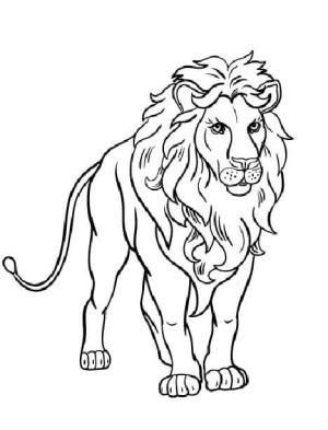 León boyama sayfası,  coloring page, Ücretsiz Aslan, 